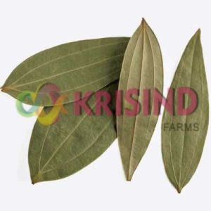 Bay Leaf