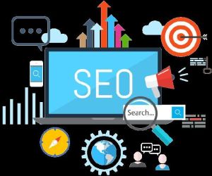 Search Engine Optimization Services