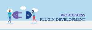 Custom WordPress Plugin Development Services
