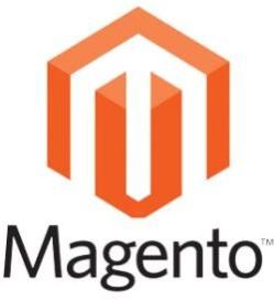 Magento Development Services