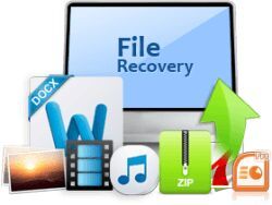 File Data Recovery Services
