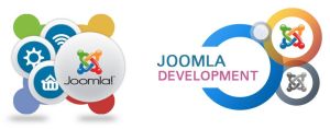 joomla training services