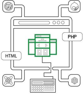 Custom Website Development Services