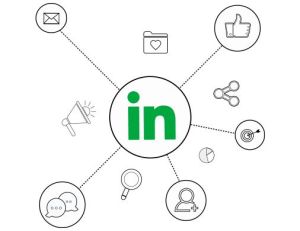 LinkedIn Marketing Services