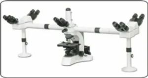 multi head microscope