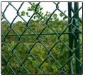 Chain Linking Fencing