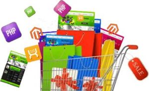 Shopping Website Development Services