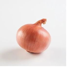 Fresh Pink Onion