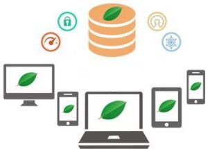 MongoDB Development Services