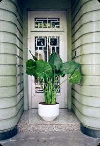 Garden Planters