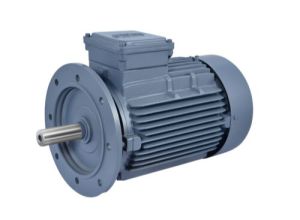 Flange Motor