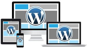 wordpress theme development services