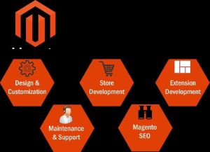 magento development