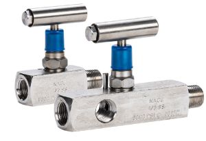 Needle & Gauge Valves