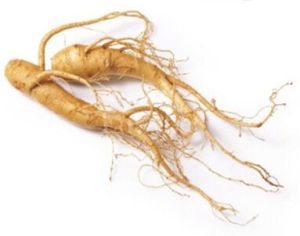 Panax Ginseng Berry Extract