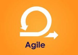 Agile Training Course