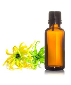 Ylang Ylang Oil