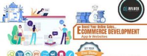 ecommerce software development