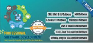 Software Development Service