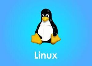 linux course