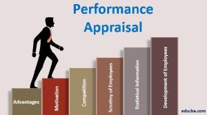 performance appraisal services