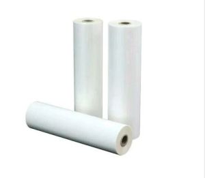 Polyester Film