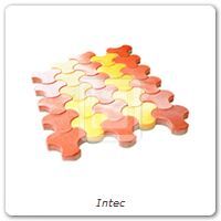 Intec Pavers