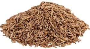 Cumin Seeds