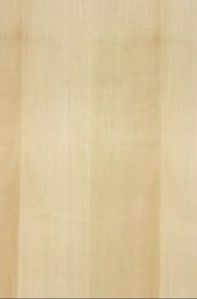 Maple (Straight Grain) Teak Plywood