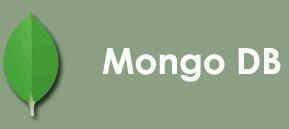 MongoDB Certification Training Service