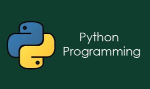 Python Online Certification Course