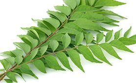 Curry Leaves