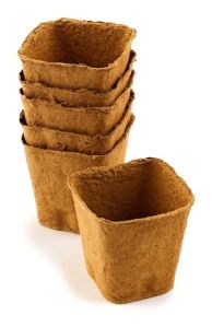 Coir Pots