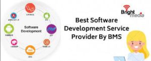 professional web development services