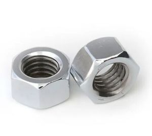 Stainless Steel Nut