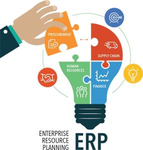 enterprise resource planning services