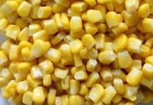 IQF CORN CUT KERNELS