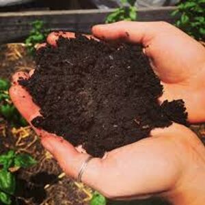 potting soil