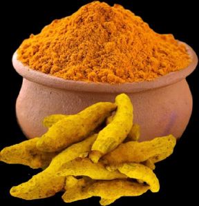 Alleppey Variety of turmeric