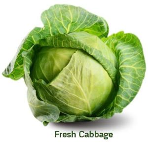 Cabbage