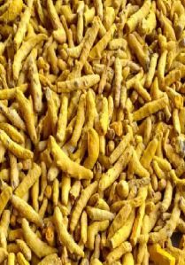 Turmeric Fingers - Nizam