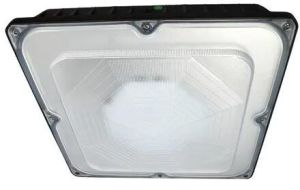 Led Canopy Light