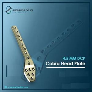 Cobra Head Plate