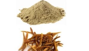 Herbal Shatavari Powder