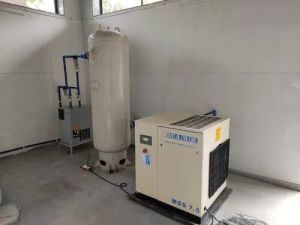 Cashew Air Compressor