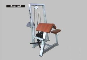 MS Bicep Curl Machine