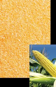 Corn grits 101