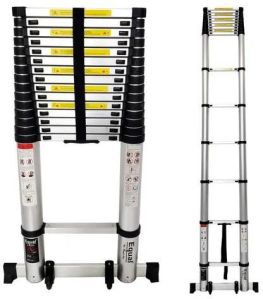 Telescopic Ladder