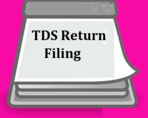 TDS Return Service