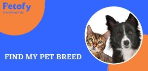 online pet names services